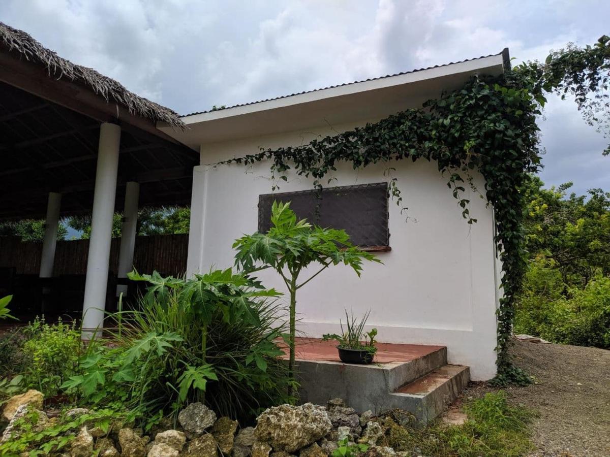 Funny Jellyfish Resort Moalboal Ngoại thất bức ảnh